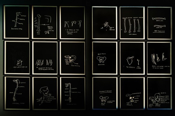 Basquiat, serigrafie anatomiche